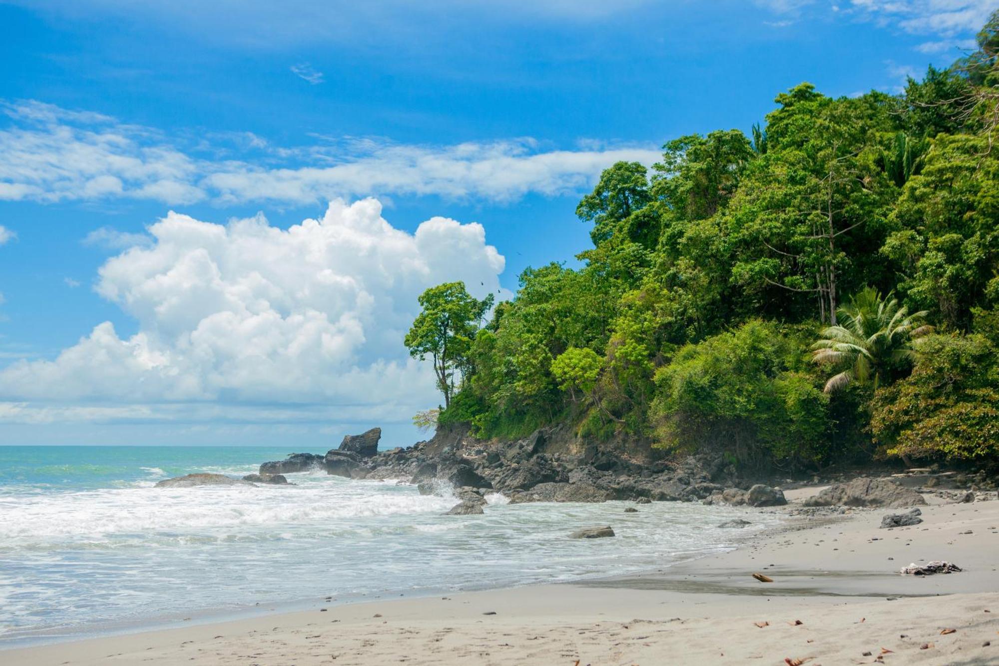 Arenas del Mar Beachfront&Rainforest Resort Nationalpark Nationalpark Manuel Antonio Exterior foto