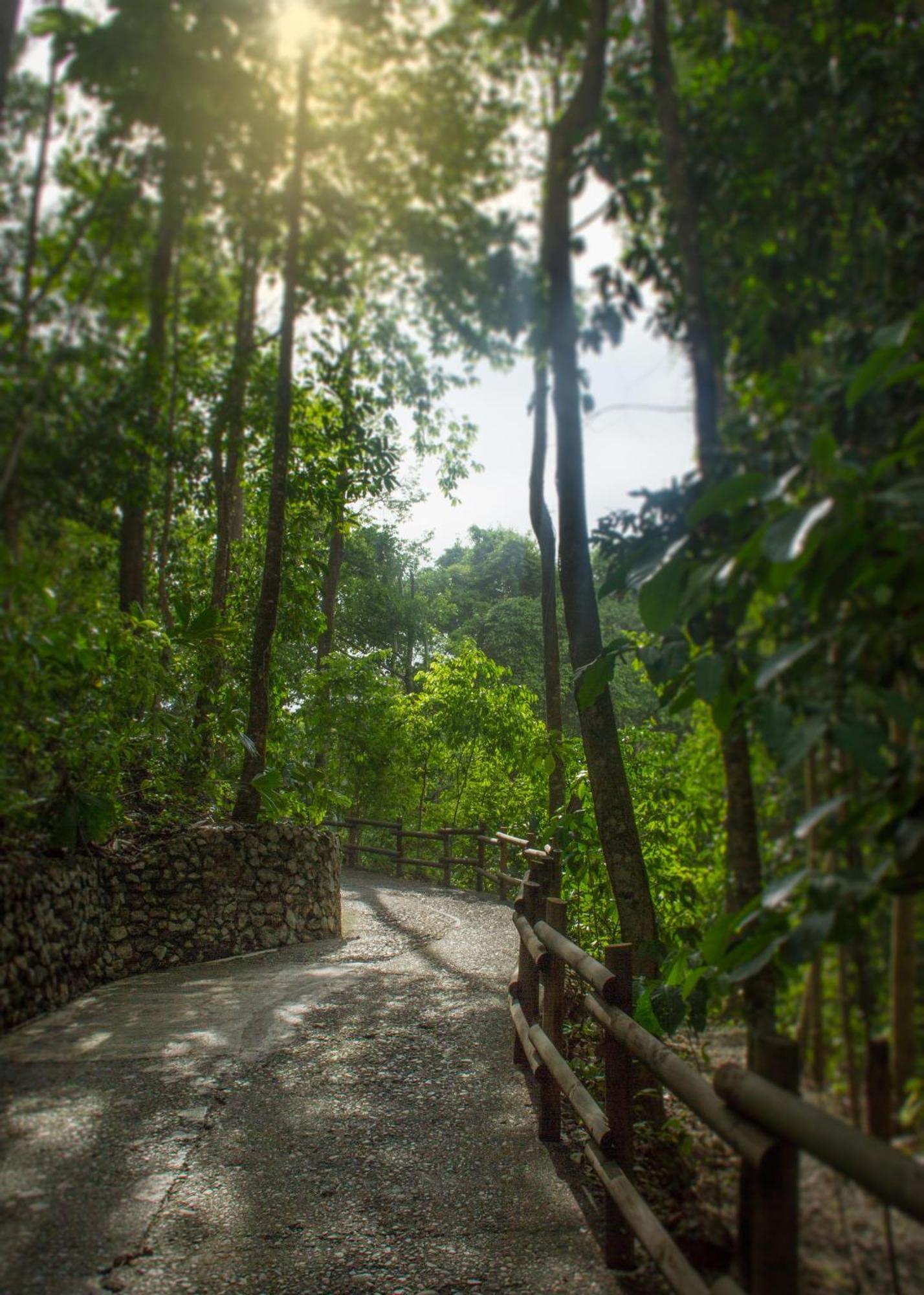 Arenas del Mar Beachfront&Rainforest Resort Nationalpark Nationalpark Manuel Antonio Exterior foto